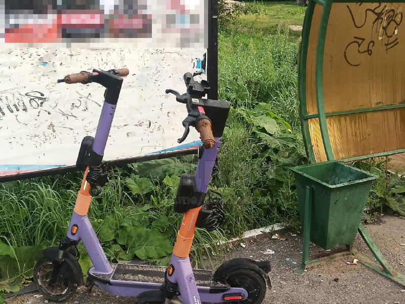 В Сергиевом Посаде случилось преступление уровня /b/
За минувшую ночь почти все прокатные электроса