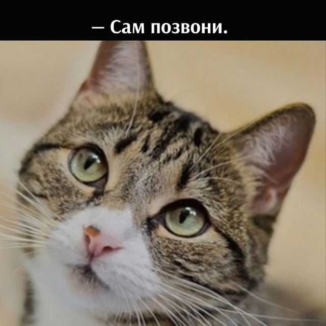 =»»