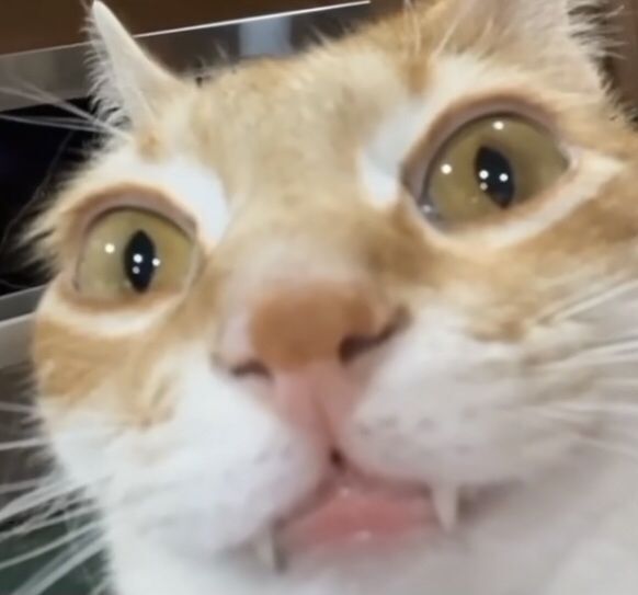 ### Краткий обзор моей профессиональной деятельности
---