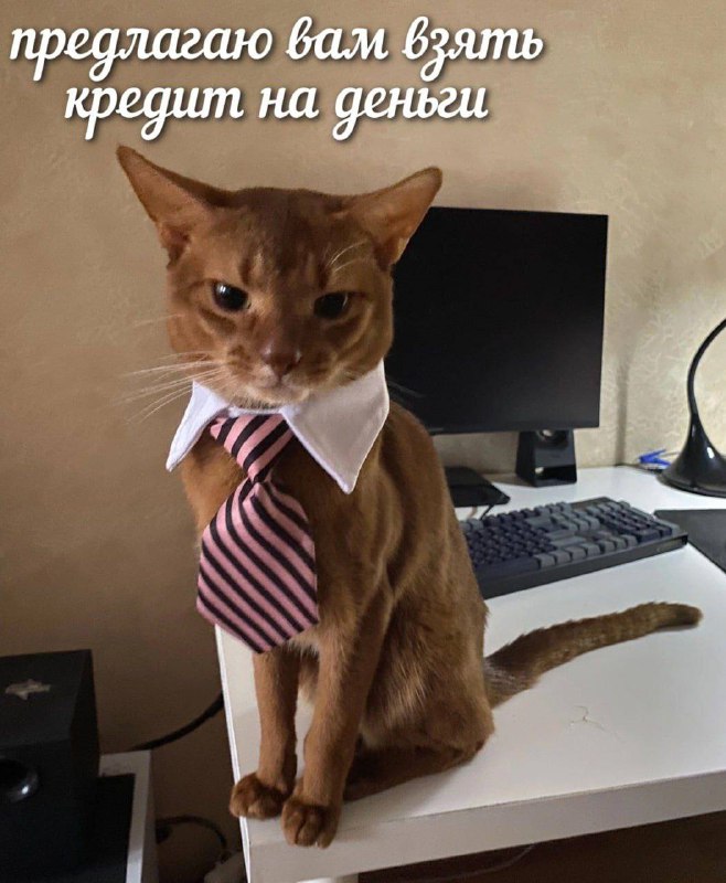 Утренняя подборочка