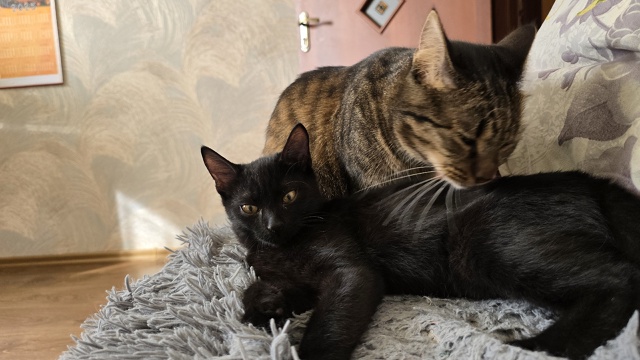 Его величество #Мармелад