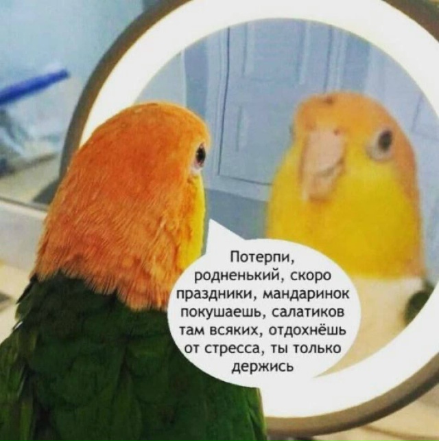 Месяцок еще продержаться