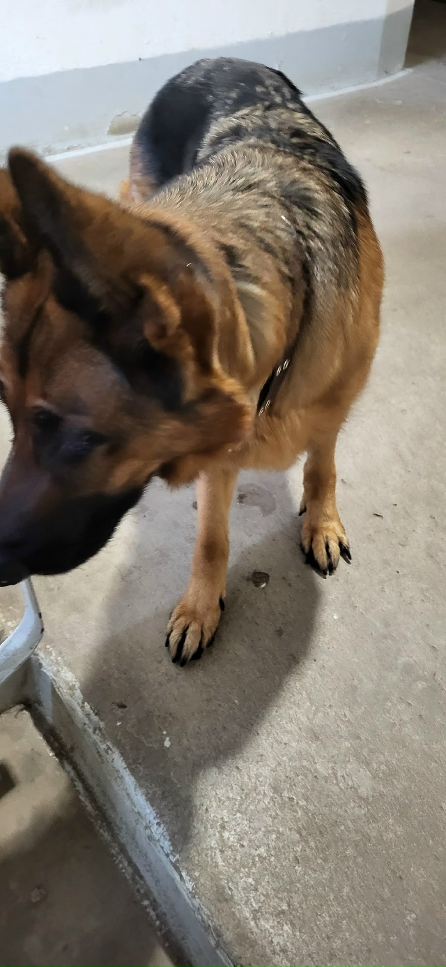 Срочно, пожалуйста, пропустите. Железнодорожный дом 1,п...