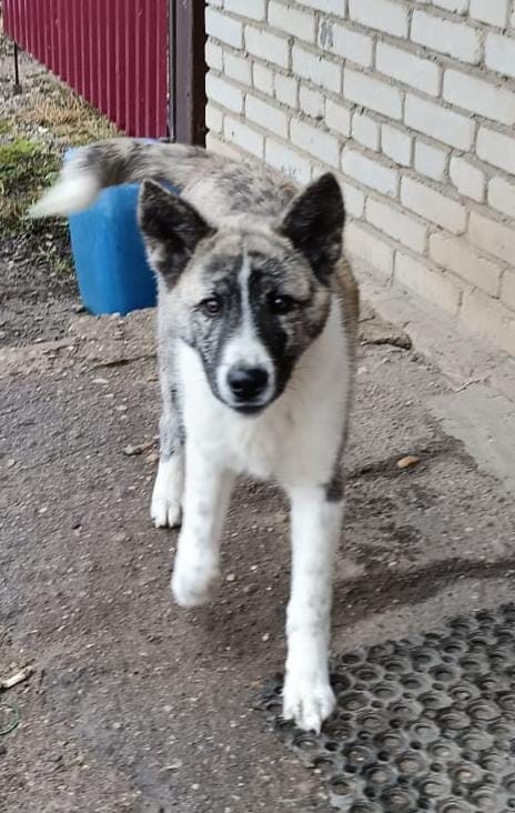 Присмотритесь к такому замечательному малышу ! Прибли?...