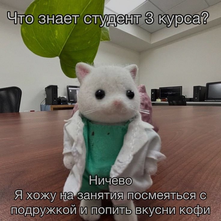 Ночная подборочка
Спать, режим