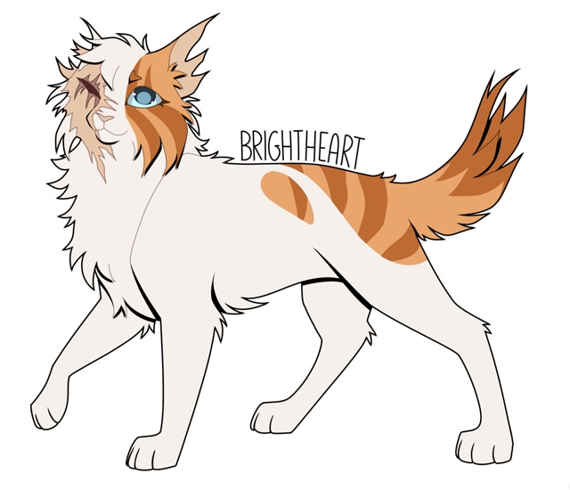 Яролика
© skyperch
#KV_ZZ_ART