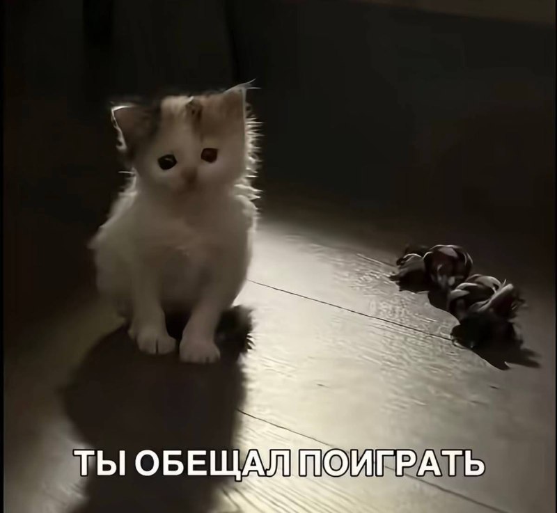 когда твой мужик пришел с работы и лег спать, а тебе охота попиздеть с ним до трёх ночи на самые туп