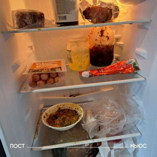 Ученик пятого класса из Владимирской области обратилс...