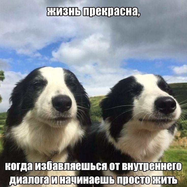 Утренняя подборочка