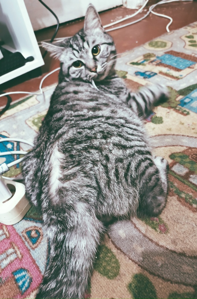 Давайте покидаем в этом посте толстые попки 😏, вот поп...