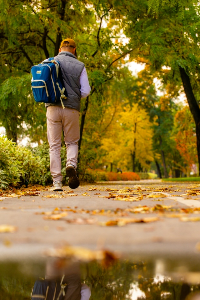 Осенний Воронеж прямо сейчас🍂🍁
