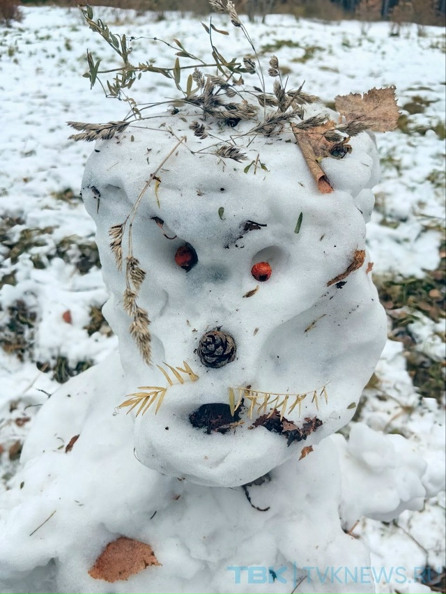 ☃️Парад снеговиков .
В эти дни снег такой липкий, поэ?...