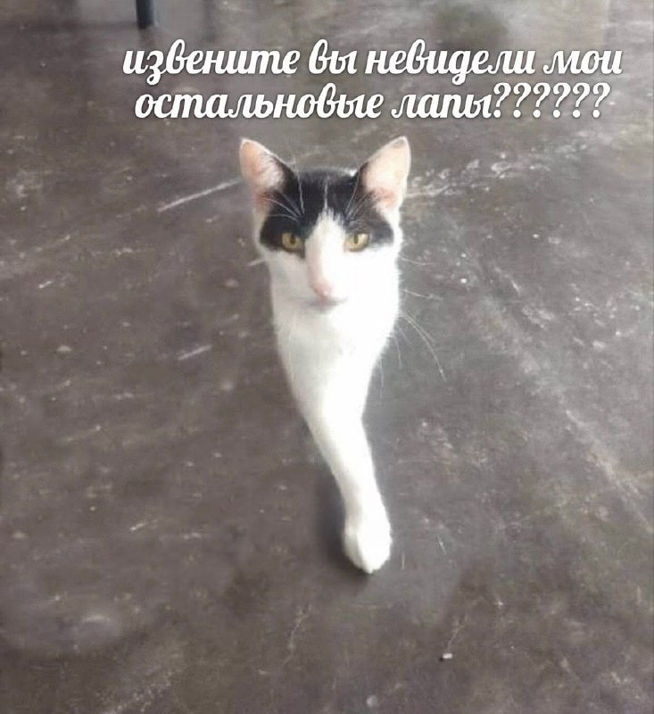 Утренняя подборочка