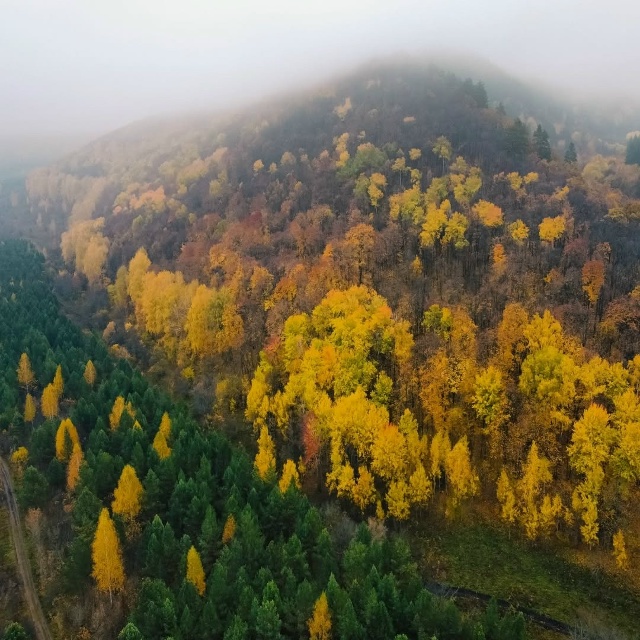 Ширяевский овраг, Самарская лука
📍53°23′42.3″N 49°55′13.7″...