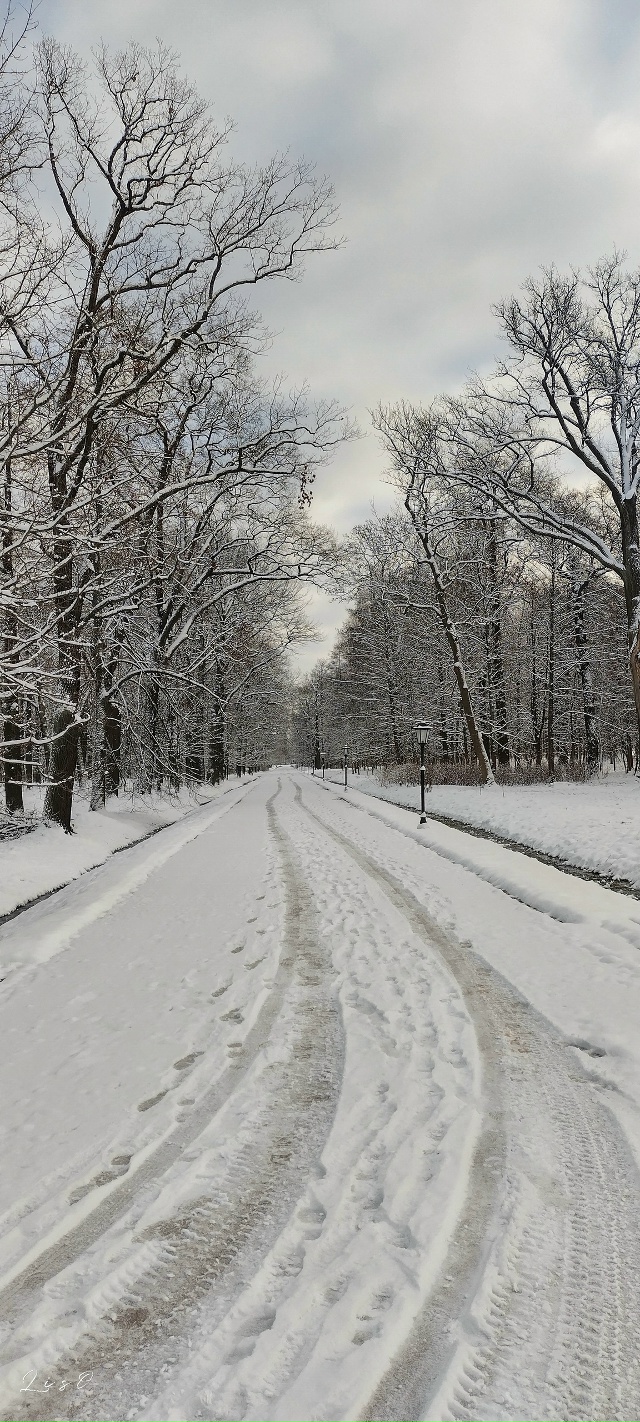 #сегоднявПетергофе 📸🐾