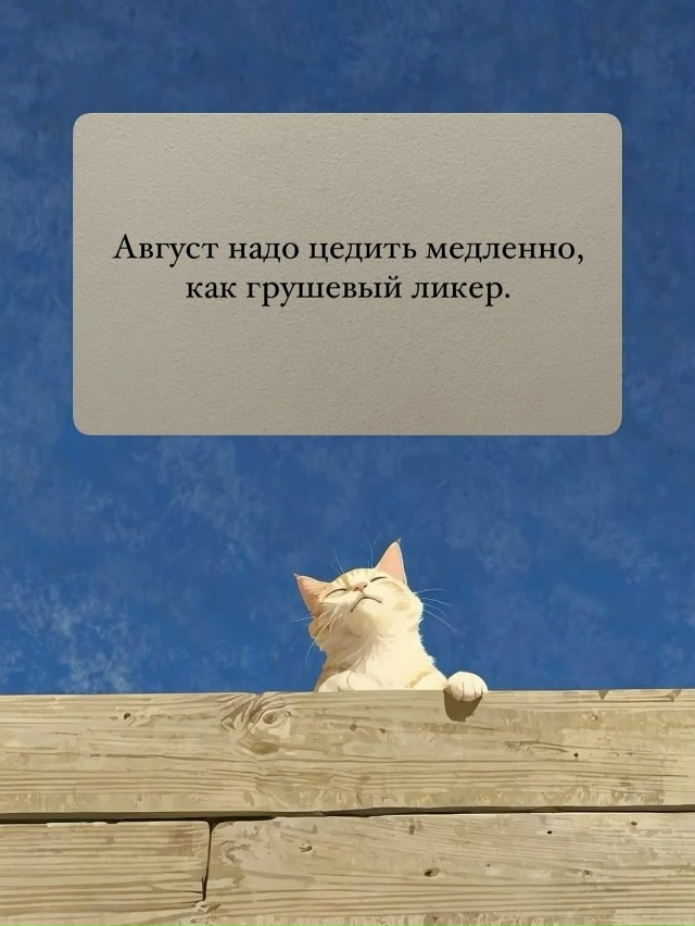 Цените моменты