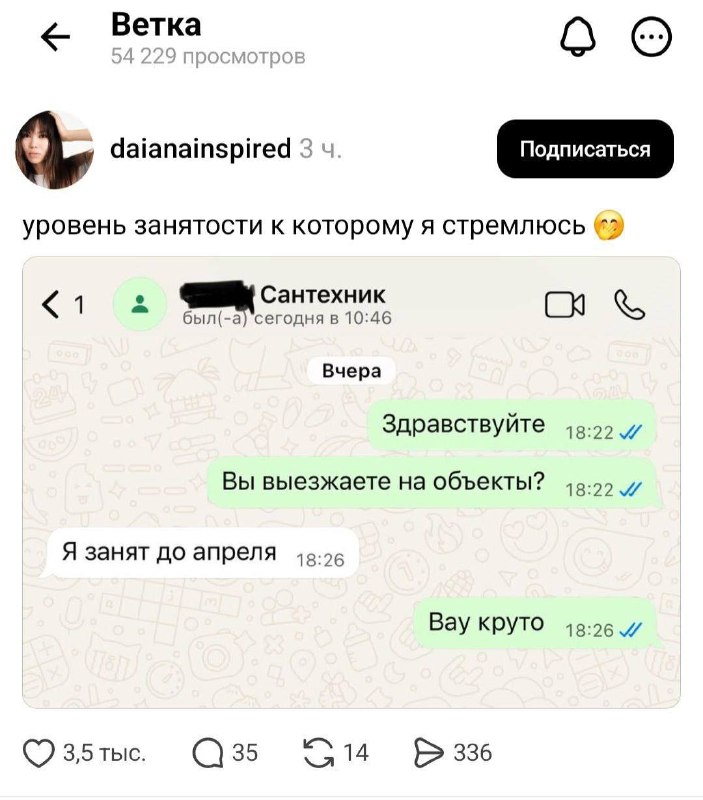 Сантехники стали новой элитной профессией
Специалисты заняты на месяцы вперёд. При этом за один виз