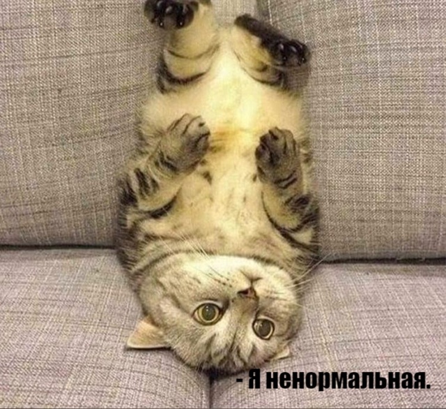 Предупредила)