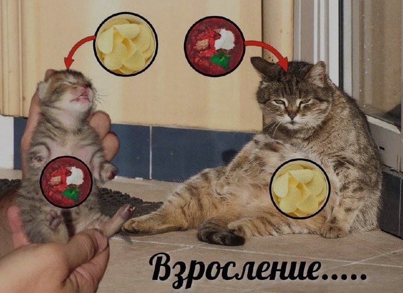 Ночная подборочка
Спать, режим