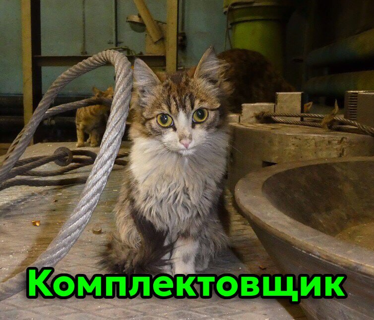 Сегодня отмечается День трудяги
Узнал себя?