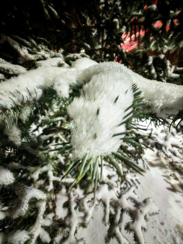 Зимний пapк Ηoвocибиpcкa ❄️