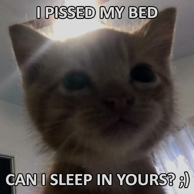 Ночная подборочка
Выходные, не спим