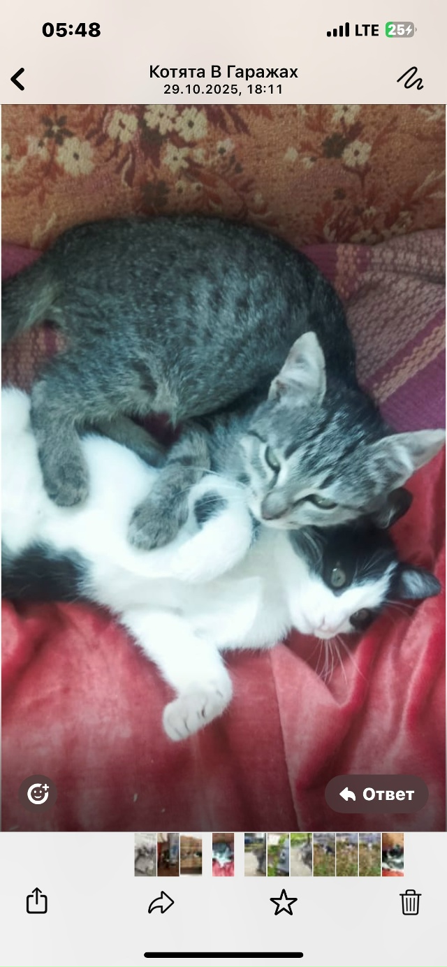 Мы сейчас живем с вами в какое то особое время,время ки?...