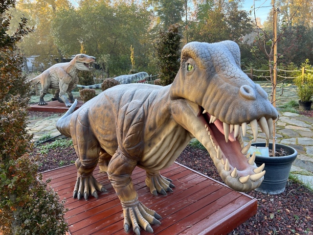 Зверoящеры пермского периода в Ботаническом cаду униве...