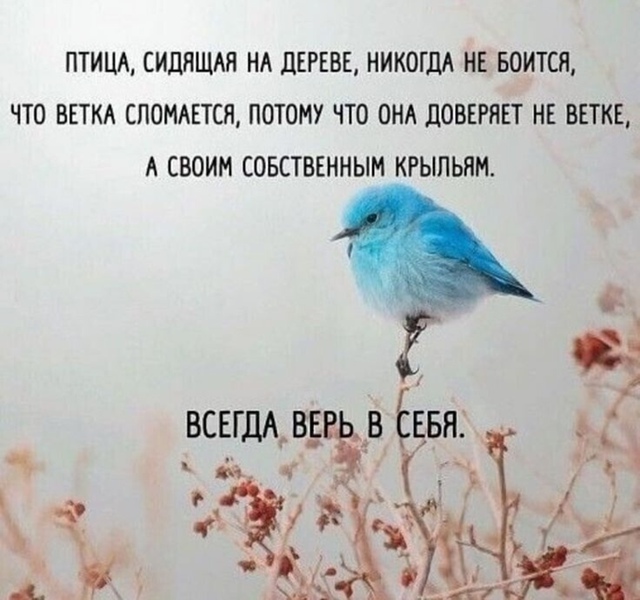 Верьте в себя