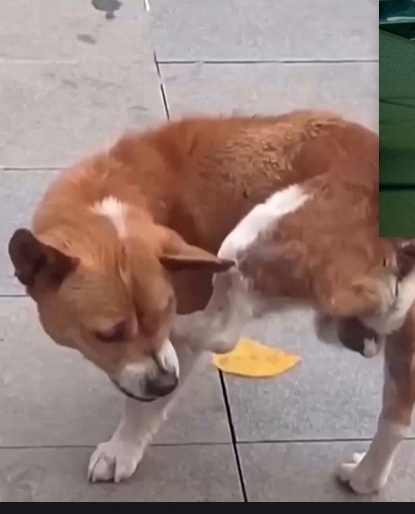 Когда ты просто раздражаешь сам себя!