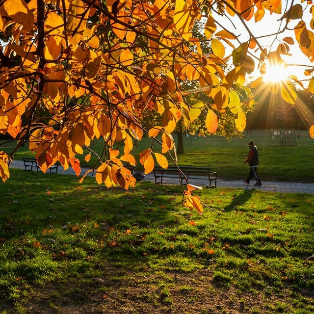Синоптики сообщают, что температура воздуха продержит...