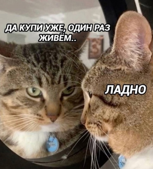 Я и моя финансовая грамотность