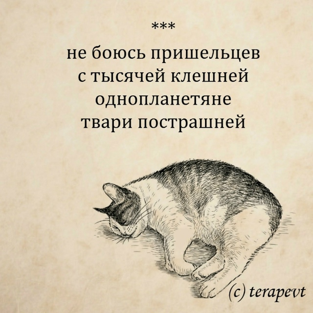 Хорошего настроения! 😄