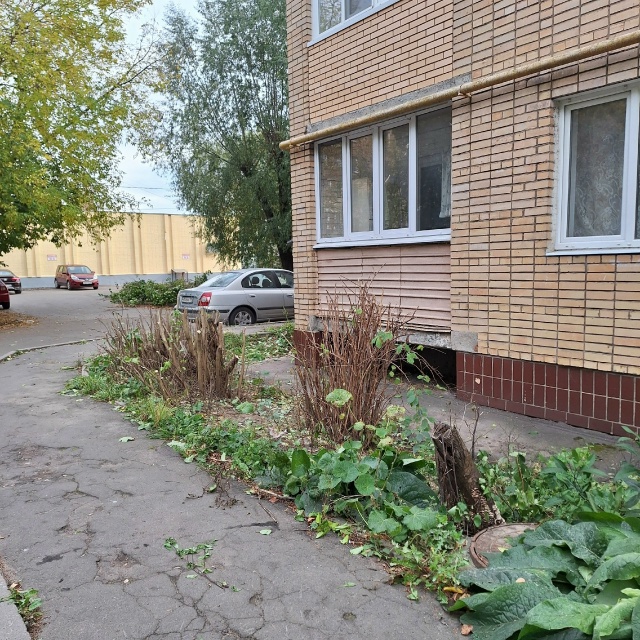 Гагарина, 11, когда-то наш двор утопал в зелени, росли яб?...