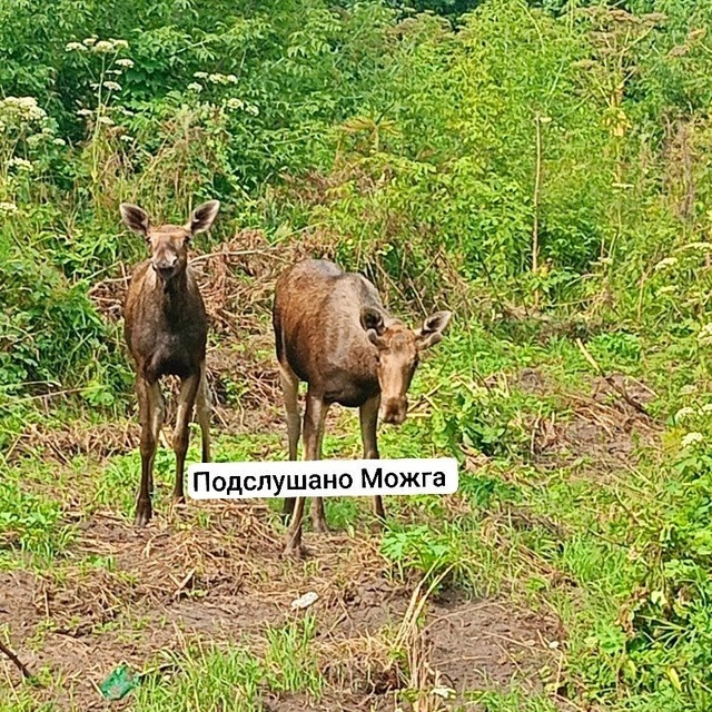 Вот они, красавчики 👍
Работники моста у 