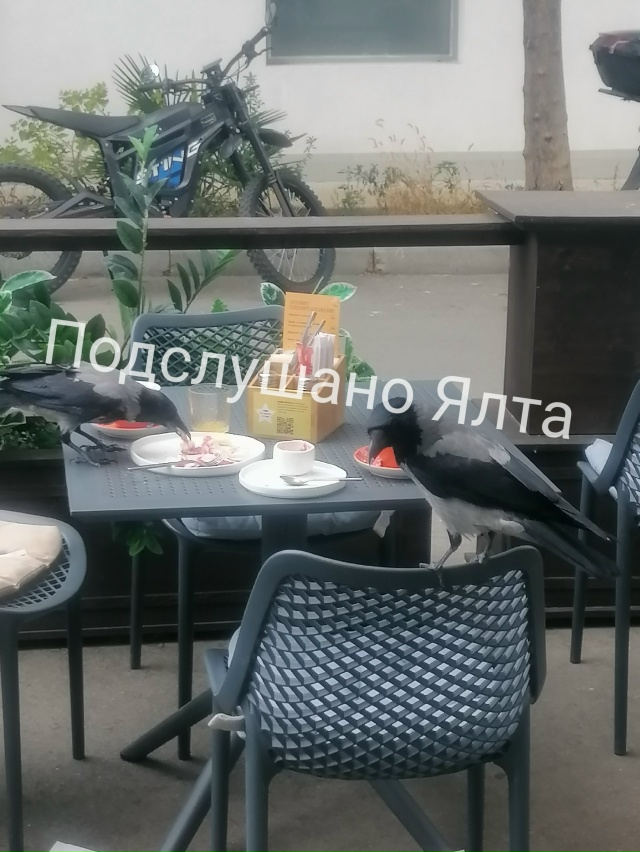 Доброе утро, Ялта!
Исколесили с подружкой весь Крым.
За...