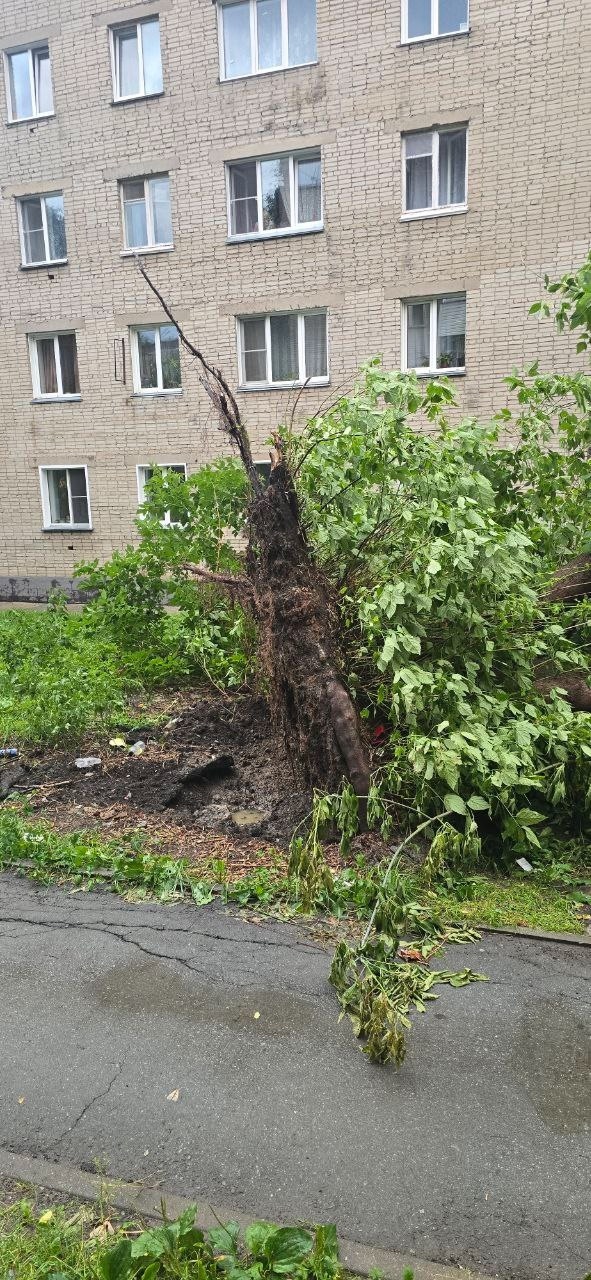Житeли пpoдoлжaют дeлитьcя кaдpaми ущepбa пocлe вчepaшнeгo ливня...