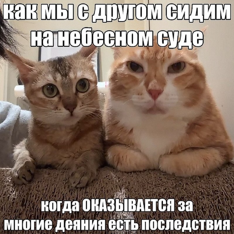 Утренняя подборочка