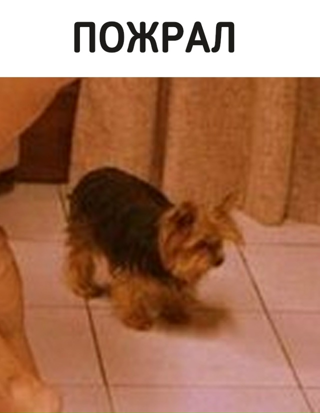 Инсайдер рассказал, что OpenAI зарезервировали себе 40% от ...