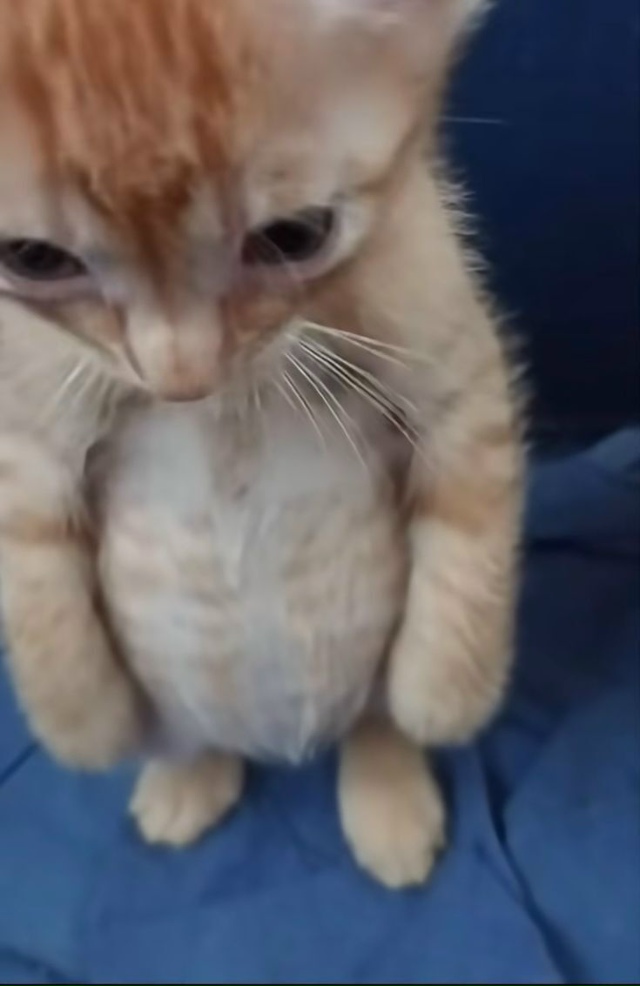 Навевает определенную меланхолию и легкое чувство печ...