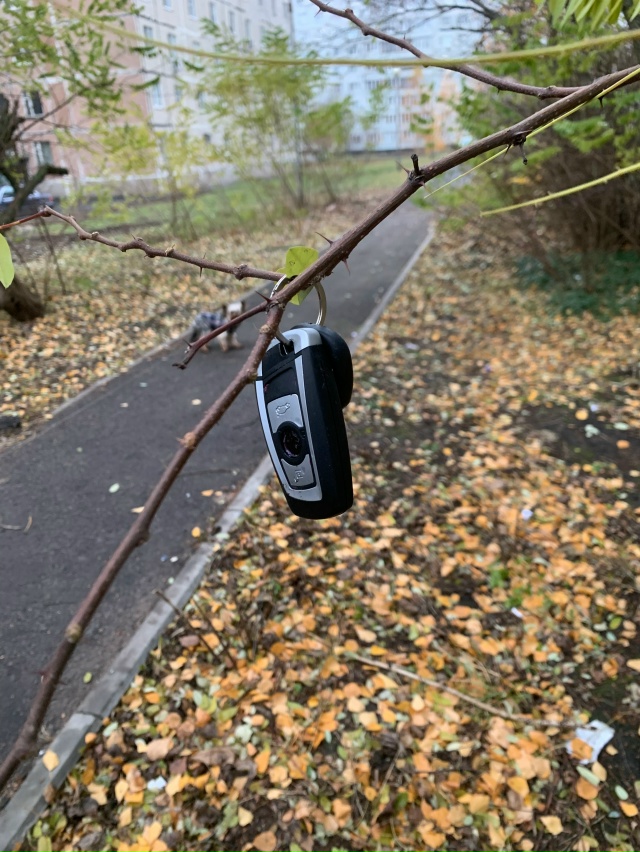 Может кто ищет? Висят около садовой 19б