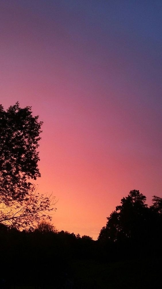 К жизни не прилагается руководство, в котором описано, ...