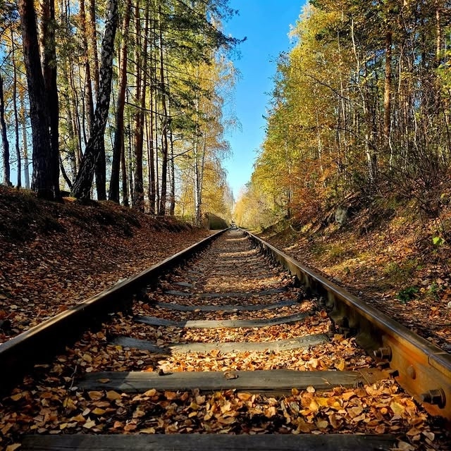 Осенние пейзажи🍂