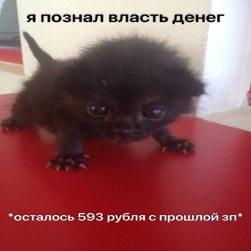 Утренняя подборочка