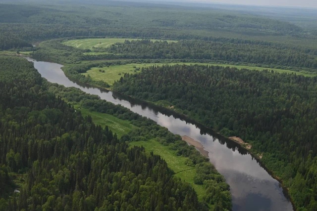 В Прикамье завершилась масштабная научная экспедиция,...