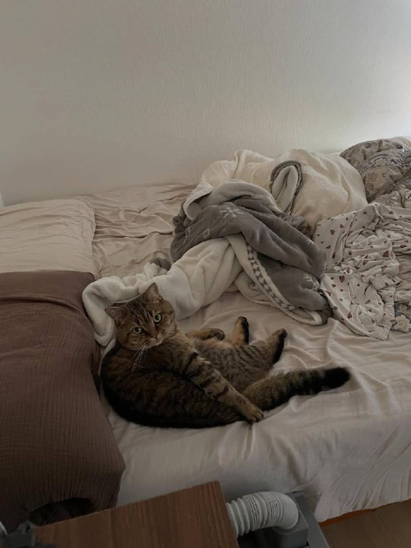 Хто я и зочим проснувся??