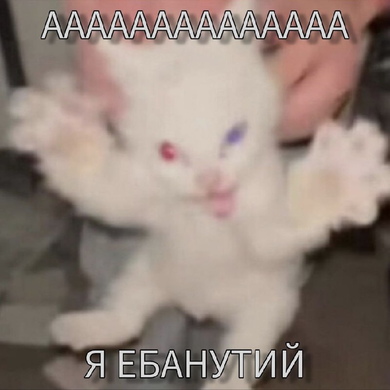 Ночная подборочка
Спать, режим