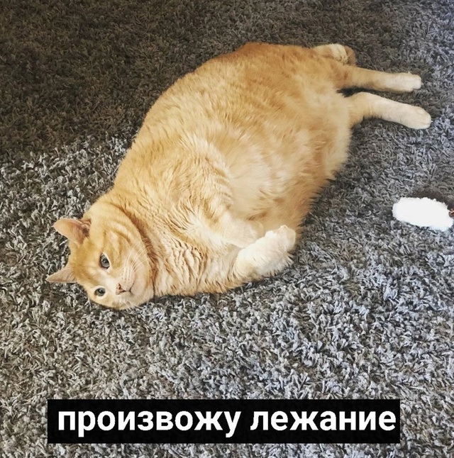 Просто я в свой выходной: