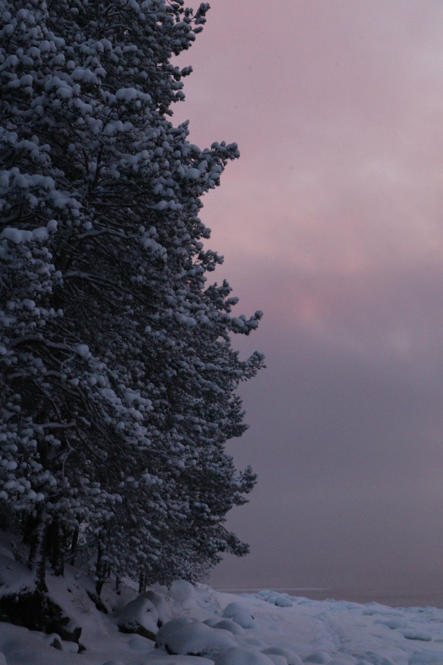 Когда фильтры не нужны🩷
[id1430345|Елена Серикова]