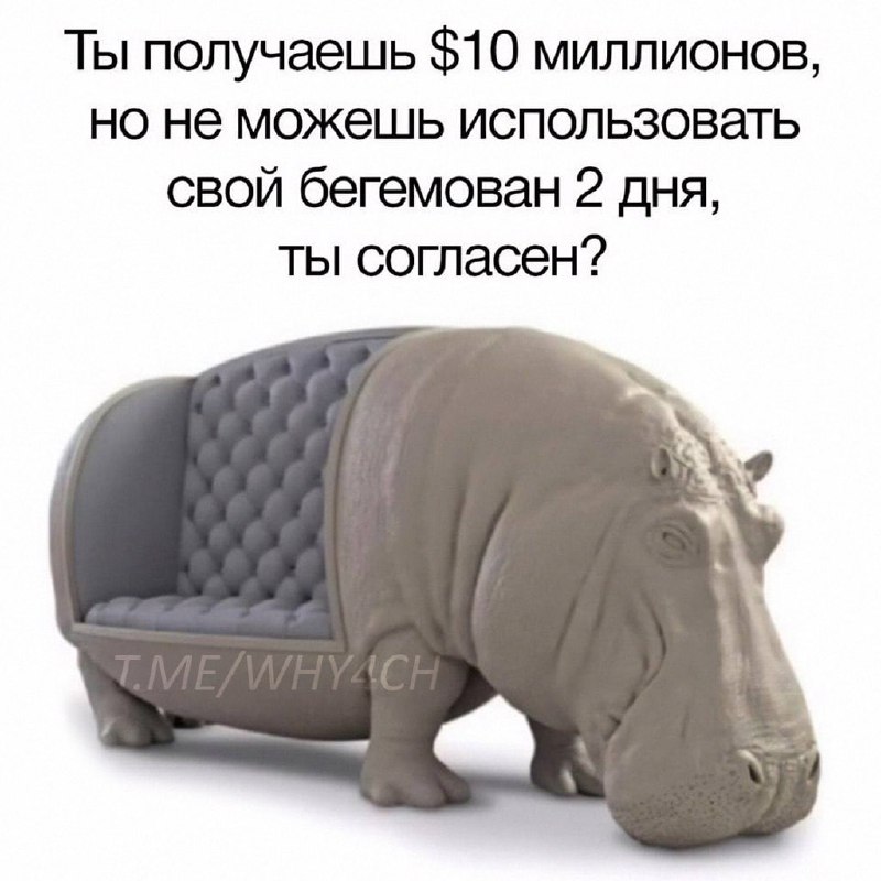 Утренняя подборочка